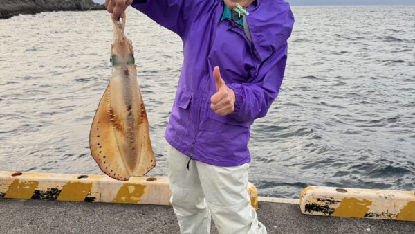 【式根島釣果】アオリイカ2.4㎏にスルメイカ!イカ釣りが楽しい6月の式根島