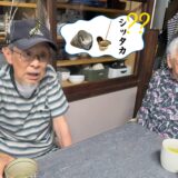 式根島の方言対談 Part.1｜シッタカ大漁の思い出と身をきれいに出す茹で方