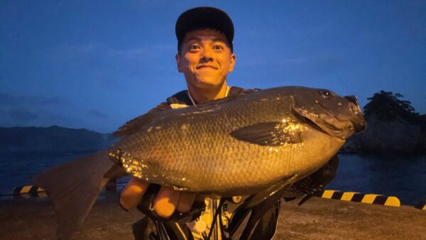 ［式根島釣果］哲也さんのフカセ釣り3～4日目｜楽ちん磯と野伏港で尾長メジナをちゃんと釣る！