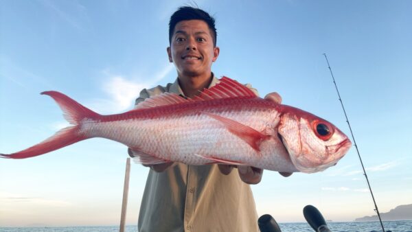 ［式根島釣果］哲也さんのショアジギング5日目｜尾長鯛と真鯛