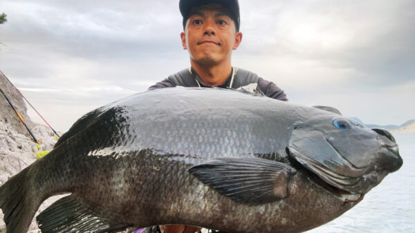 ［式根島釣果］哲也さんのフカセ釣り7日目｜セルフ渡船の一級磯で46㎝尾長メジナをGET！