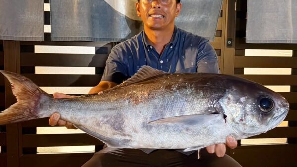 ［式根島釣果］哲也さんのショアジギング8・9日目｜深場でメダイ、待望のカンパチも