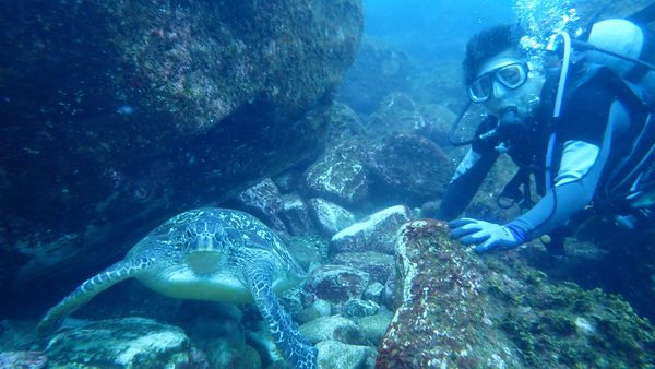 ダイビング上達中のお客様が御釜湾の海中温泉でCO2シープや巨大ウミガメと泳ぐ