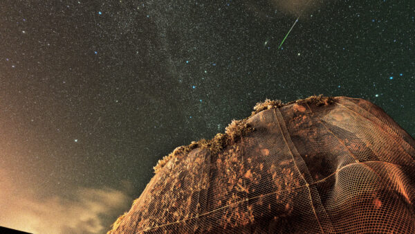 ペルセウス流星群の一光