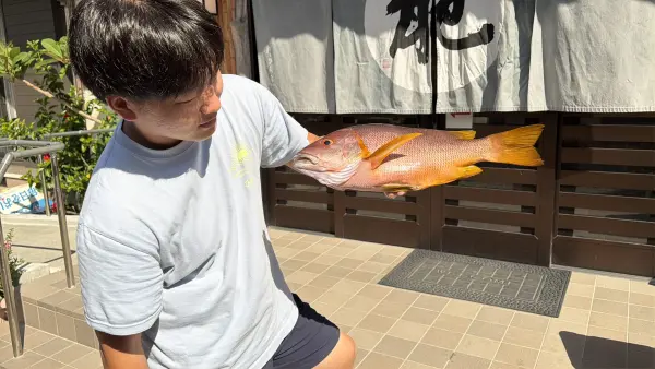 ［式根島釣果］ヒデ君居酒屋BunBun仕入れでフエダイGET！