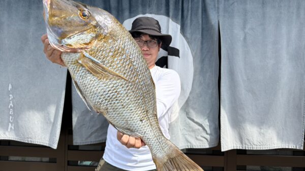 ［式根島釣果］［式根島釣果］習性を読み解きナナハン（75㎝UP）タマンを見事キャッチ！