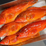 ［式根島釣果］夏のアカハタ絶好調！刺身や煮つけに