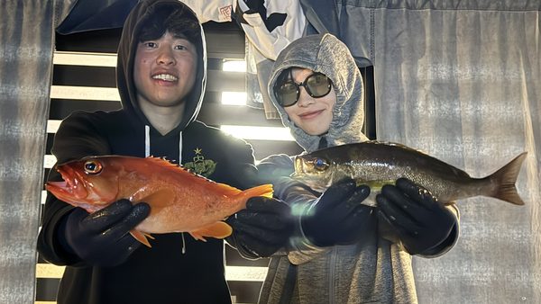 式根島の釣船を事前に手配して「船五目釣り」に挑戦!アカハタやイサキをたくさんGET!