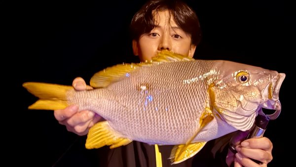 助っ人バイト君の素敵釣果!フエダイ×2、マダラエイ!