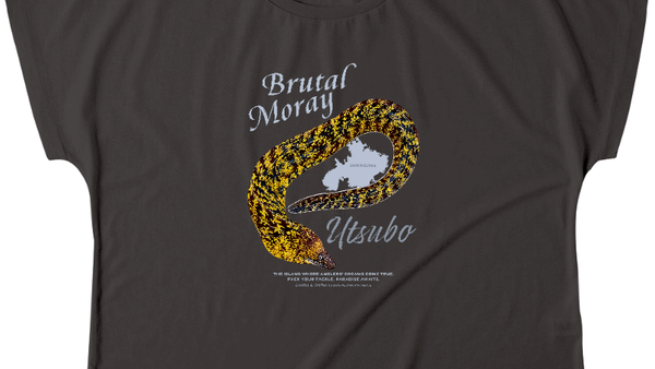 ドルマンTシャツ／ウィメンズ｜式根島Tシャツ・パーカー・雑貨等販売