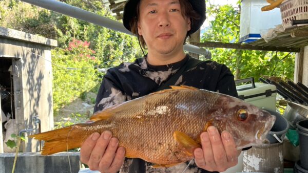 ［式根島釣果］常連釣り師の4泊釣行！50㎝・48㎝・ミニ！フエダイ3枚＋アオリイカなど